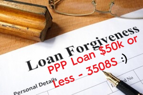 Loan Forgivness 3508S